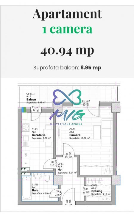 Apartament 1 camera, decomandat, Tatarasi, transport public