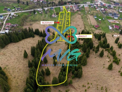 Vatra Dornei, Dorna-Arini, Suceava, teren pentru investiție agroturistica